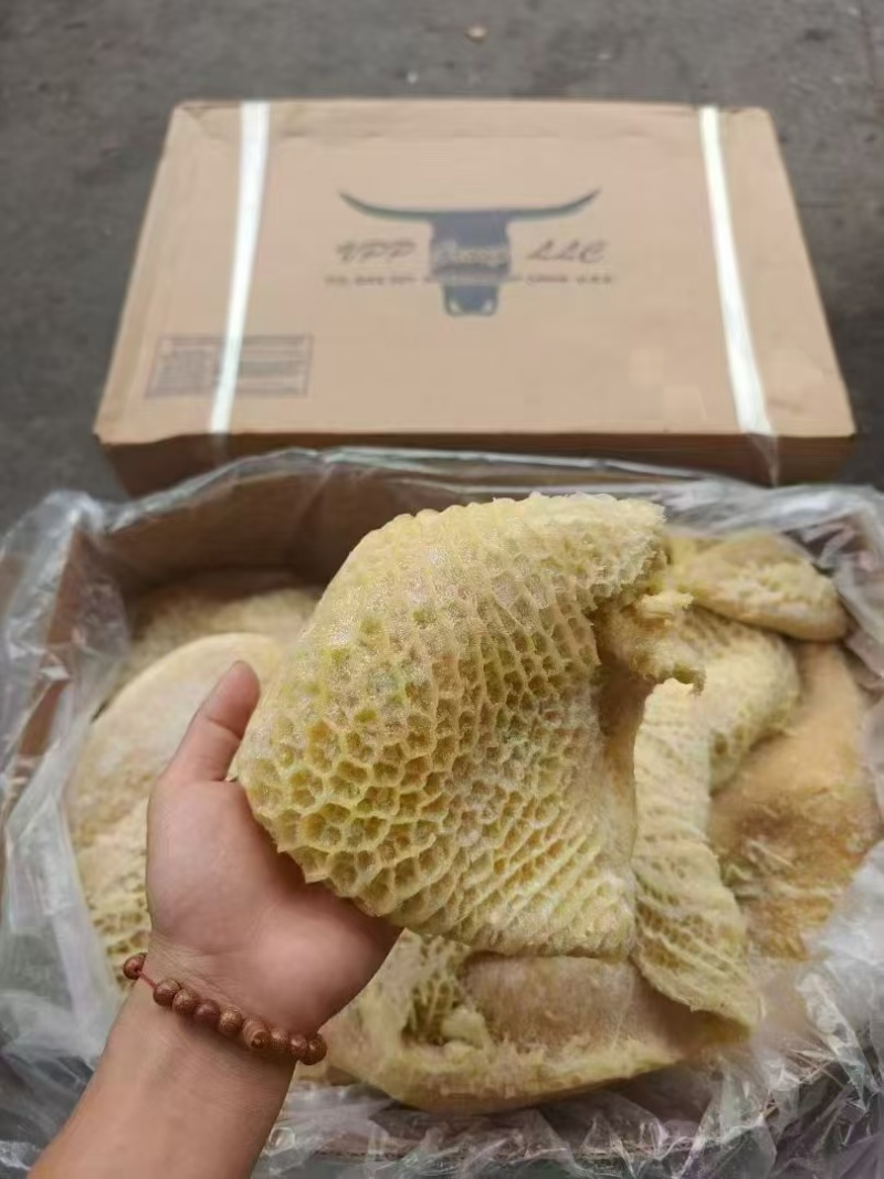 02金钱肚