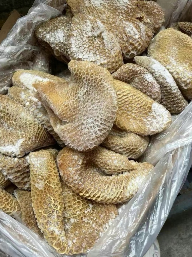 02金钱肚