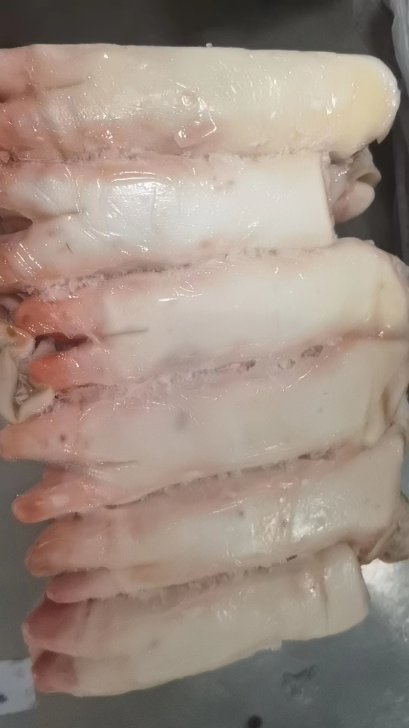母猪猪蹄