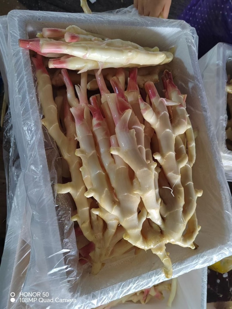 泡姜红牙仔姜