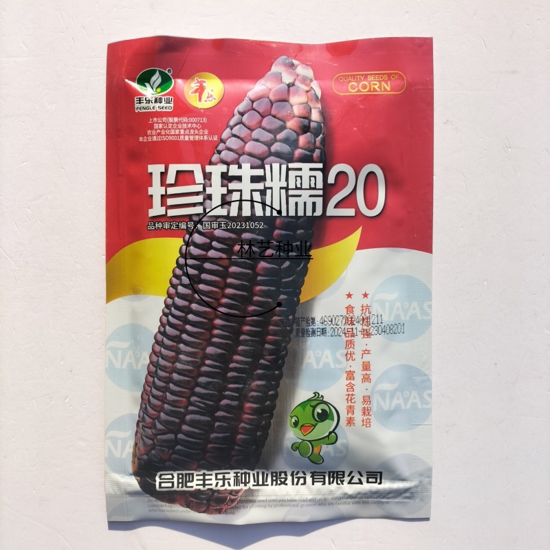 珍珠糯20黑糯玉米种子鲜食黑甜糯玉米种籽南北方孑非转基因