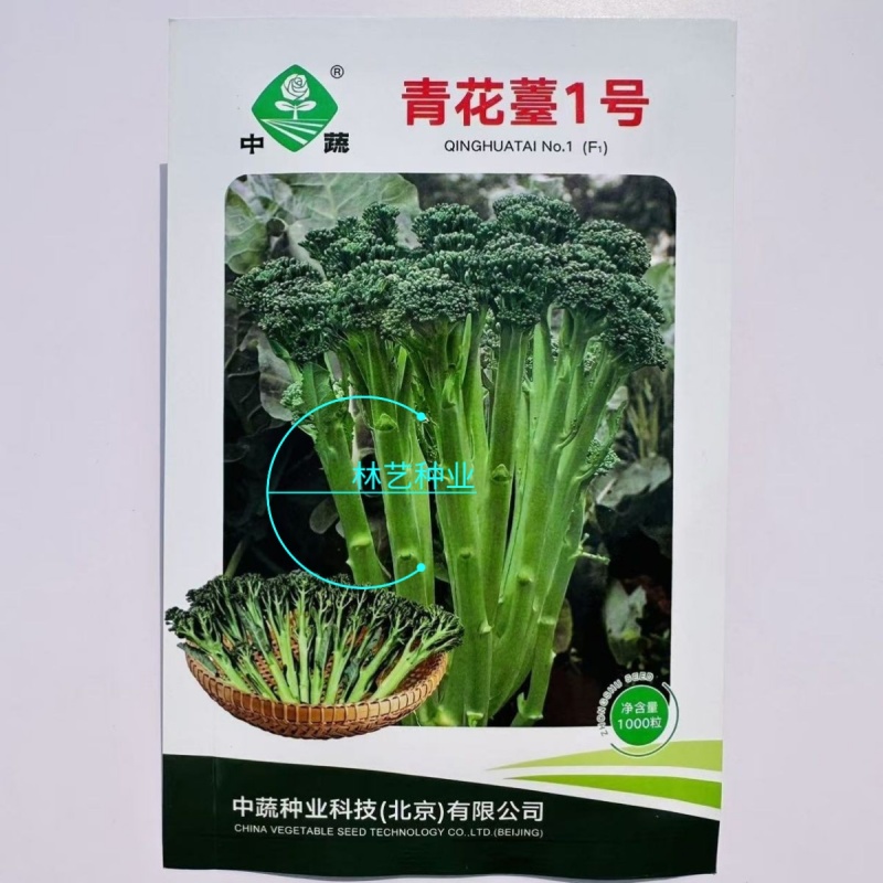 青花薹1号西兰苔种子西洋芥兰芦笋青花菜种籽农科院