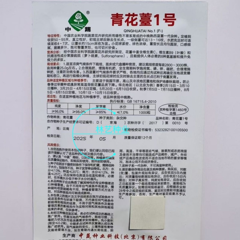 青花薹1号西兰苔种子西洋芥兰芦笋青花菜种籽农科院