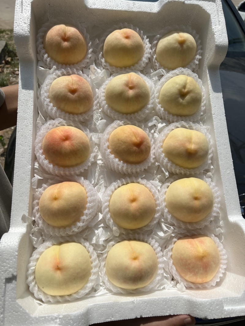江苏突围水蜜桃支持一件代发代办量大可谈
