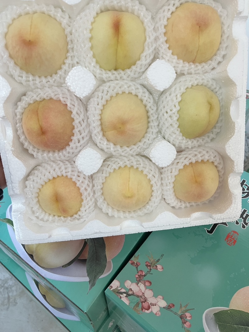 江苏突围水蜜桃支持一件代发代办量大可谈