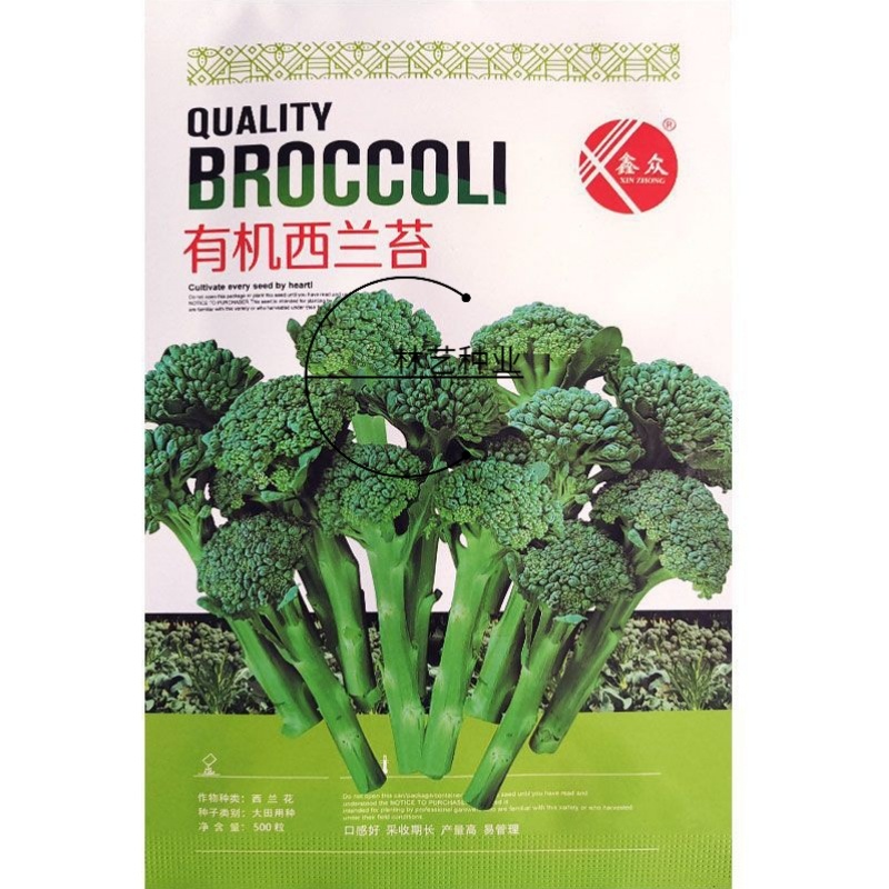 有机西兰苔种子西兰花芥蓝芥兰菜心苗四季阳台盆栽蔬菜秧