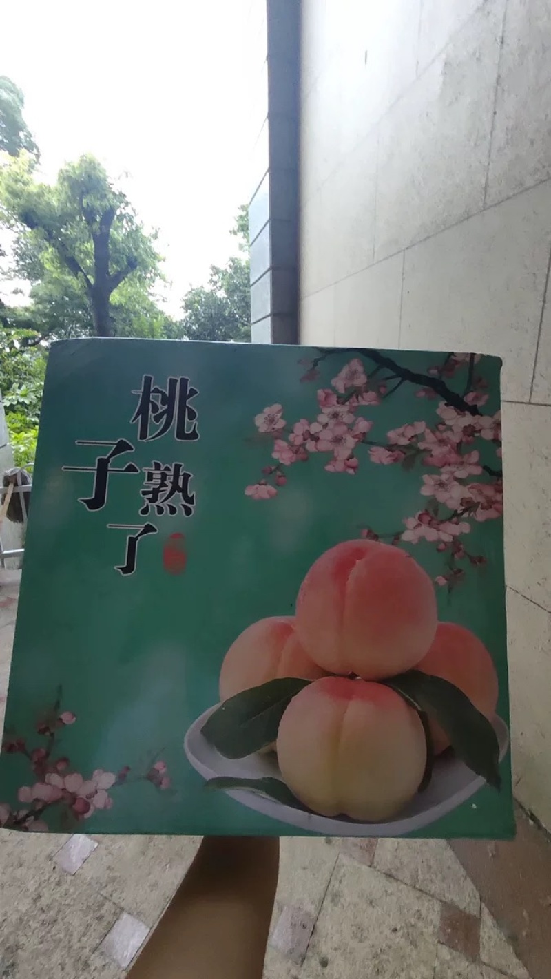 江苏突围水蜜桃量大支持采购团购电商一件代发