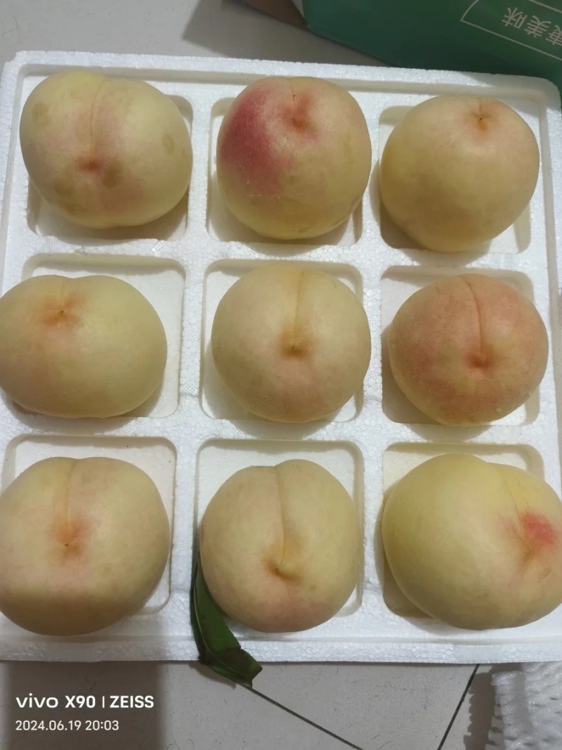 江苏突围水蜜桃量大支持采购团购电商一件代发