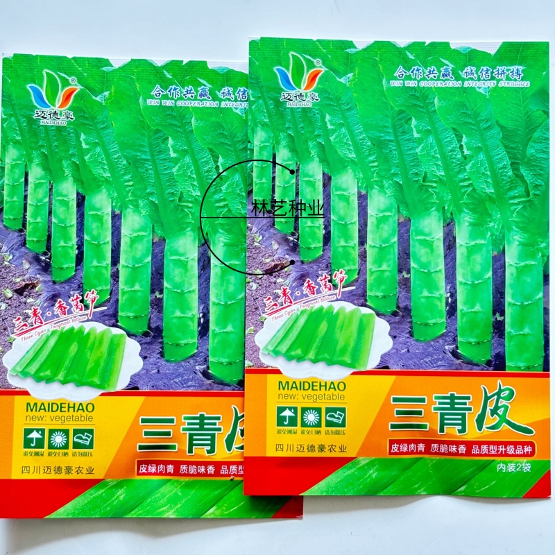 三青皮莴笋种子青皮绿肉高产耐热耐寒耐抽苔四季蔬菜香莴苣种