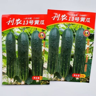 利农13号吊瓜，登记品种，耐热早熟高产