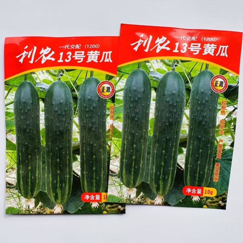 利农13号吊瓜，登记品种，耐热早熟高产