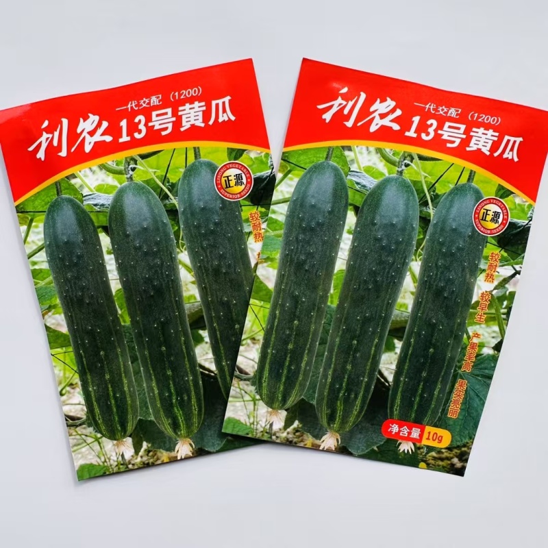 利农13号吊瓜，登记品种，耐热早熟高产