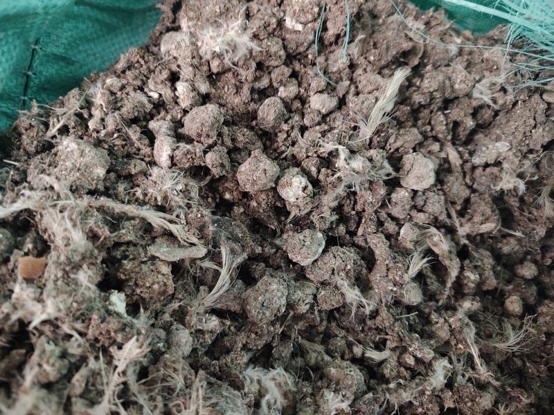 大型青年鸡场小鸡粪厂家一手货源常年供货全国接单按需求打包装袋