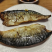 鲐鲅鱼片鲭鱼柳青占鱼对开，韩餐日料店烧烤店专用佳品！