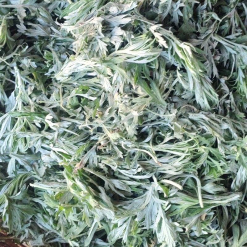 艾草叶子