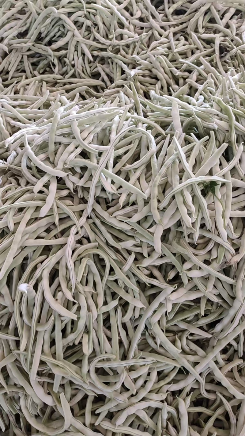 九粒白芸豆