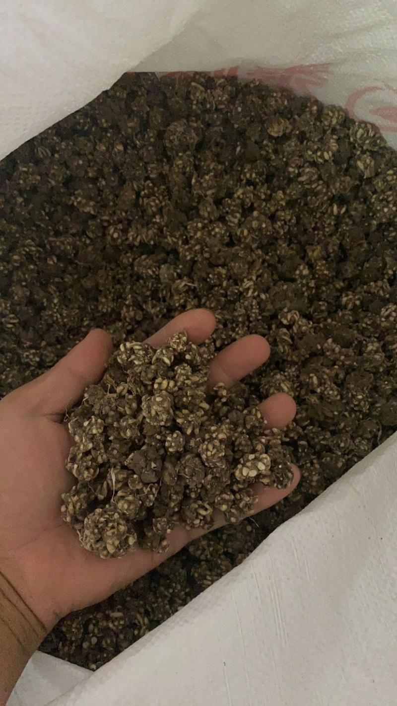 精品