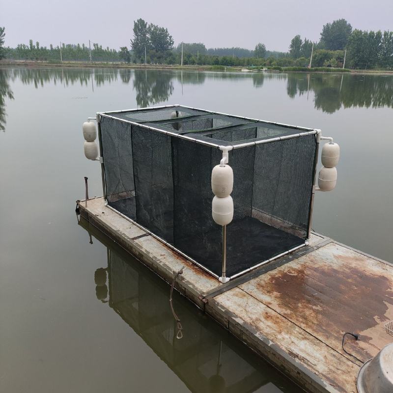 养鱼隔离存鱼养虾网箱悬浮漂浮鱼护全框架骨架支架带盖农家乐