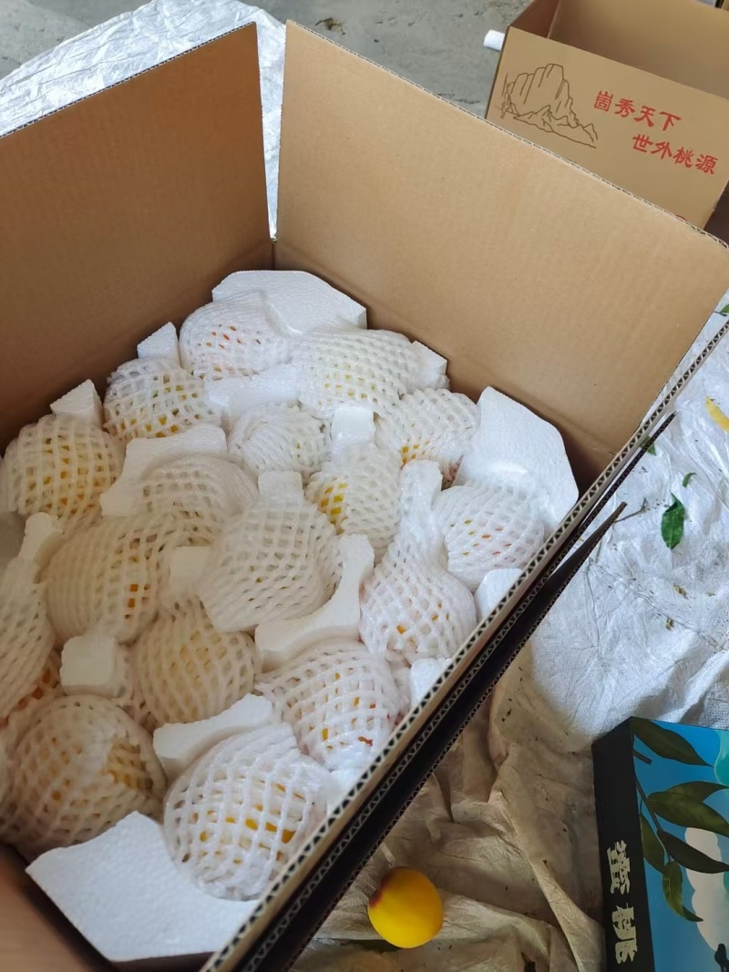 湖北突围毛桃油桃中油系大量有货可供全国批发市场电商等平台