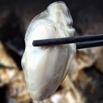 乳山生蚝鲜活新鲜现捕海蛎子5斤牡蛎整箱包邮商用批发