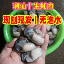 潮汕生蚝肉去壳鲜活整箱广东牡蛎肉现剥水产品1斤装烧烤海蛎