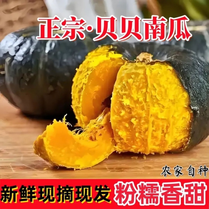 南瓜贝贝南瓜粉糯香甜现摘现发支持一件代发欢迎咨询