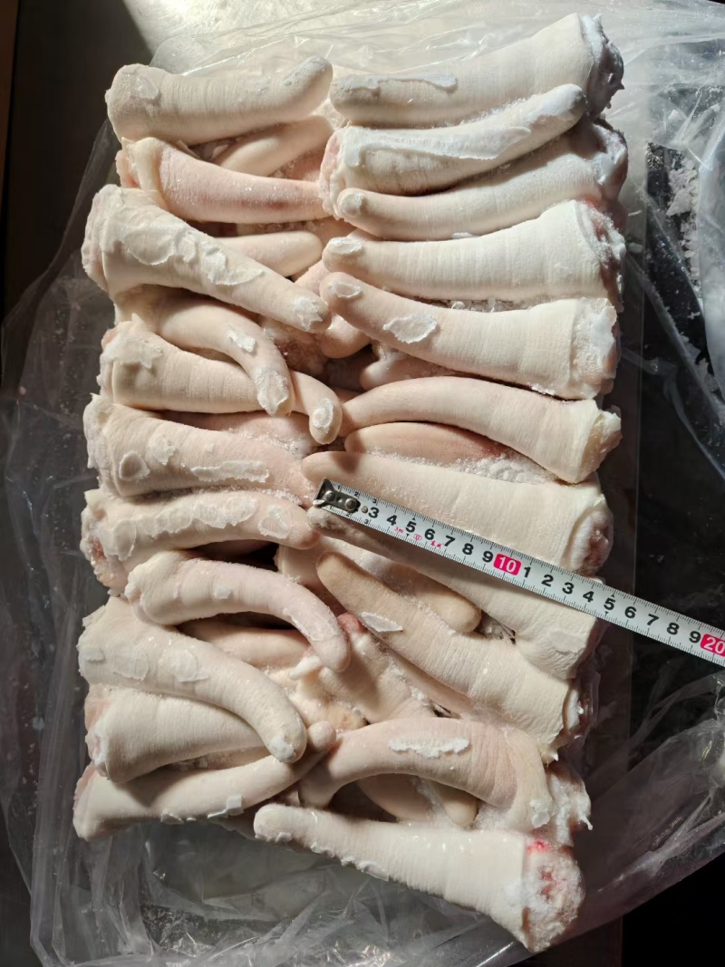 肥猪中尾无尾根