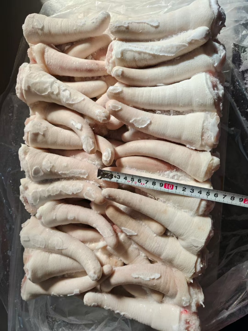 肥猪中尾无尾根