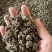 家种中药材猫爪草水洗二遍猫爪草信阳淮滨产地直销