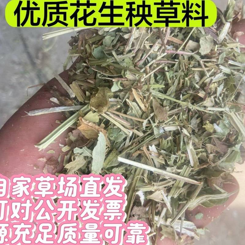 花生秧草料批发，无土无膜无霉变，牛羊马鹿驴兔骆驼都可以用