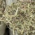 花生秧草料批发，无土无膜无霉变，牛羊马鹿驴兔骆驼都可以用