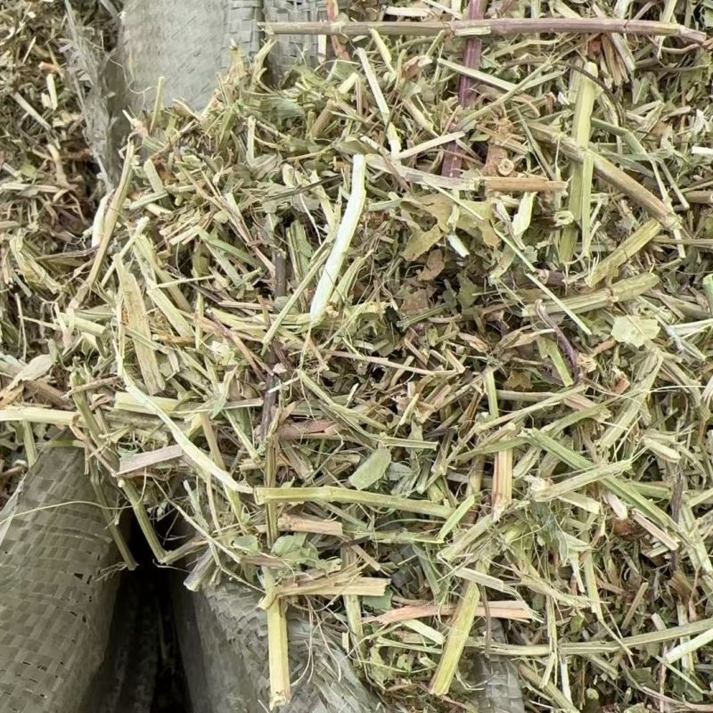 花生秧草料批发，无土无膜无霉变，牛羊马鹿驴兔骆驼都可以用