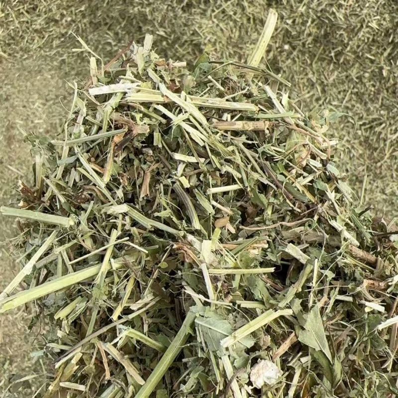 花生秧草料批发，无土无膜无霉变，牛羊马鹿驴兔骆驼都可以用