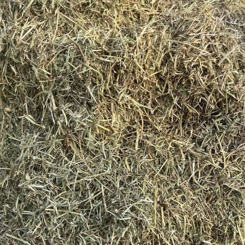 花生秧草料批发，无土无膜无霉变，牛羊马鹿驴兔骆驼都可以用