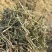 花生秧草料批发，无土无膜无霉变，牛羊马鹿驴兔骆驼都可以用