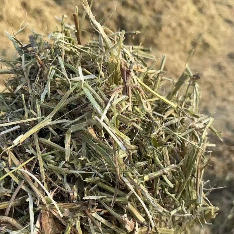 花生秧草料批发，无土无膜无霉变，牛羊马鹿驴兔骆驼都可以用