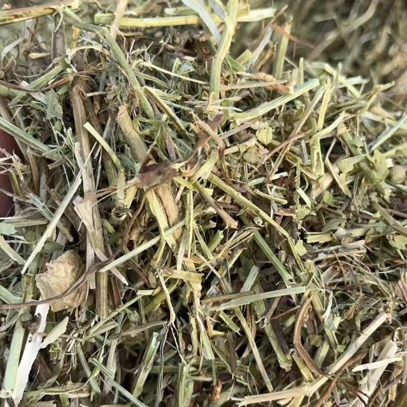 花生秧草料批发，无土无膜无霉变，牛羊马鹿驴兔骆驼都可以用