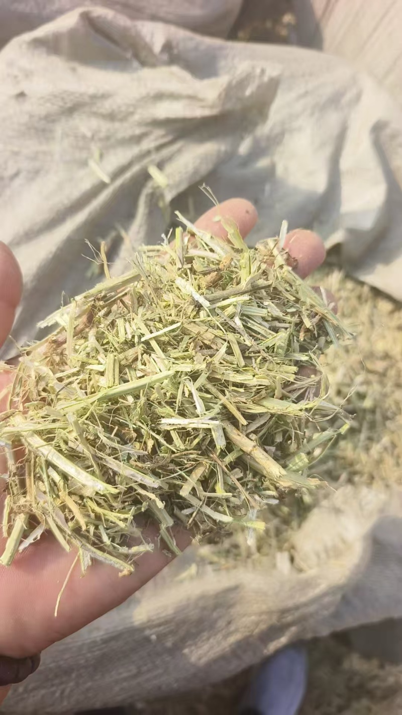 花生秧草料批发，无土无膜无霉变，牛羊马鹿驴兔骆驼都可以用