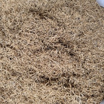 徐长卿正品无硫新货徐长卿根量大从优