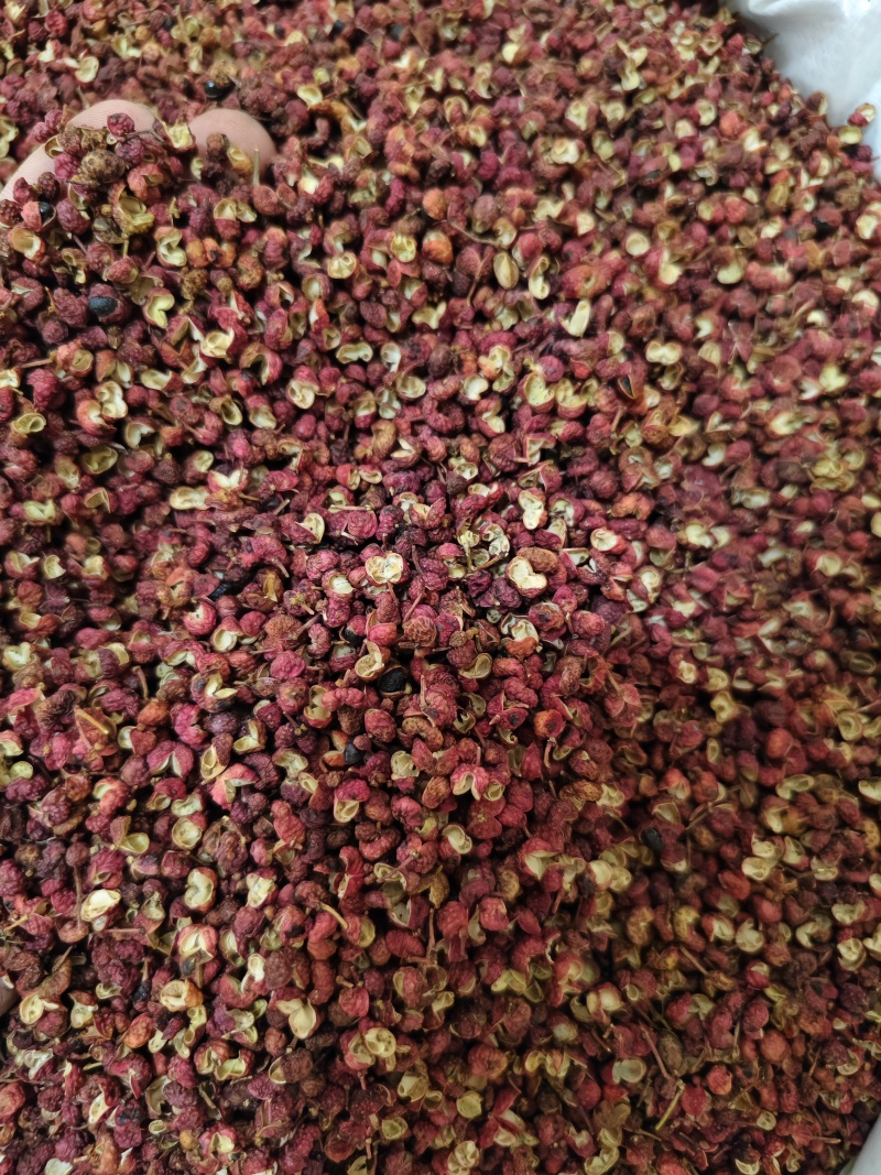 花椒新货正品大红袍花椒精品花椒量大优惠