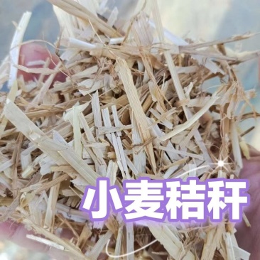 河南优质小麦秸秆，已过风选，牛羊马鹿驴兔骆驼，可以开发票