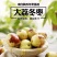 绿禾昌农科大荔冬枣批发