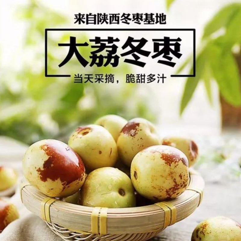 绿禾昌农科大荔冬枣批发