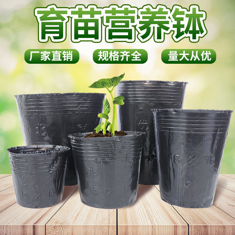 营养杯育苗杯一次性黑色营养袋育苗袋大号播种植塑料育苗盆营养钵