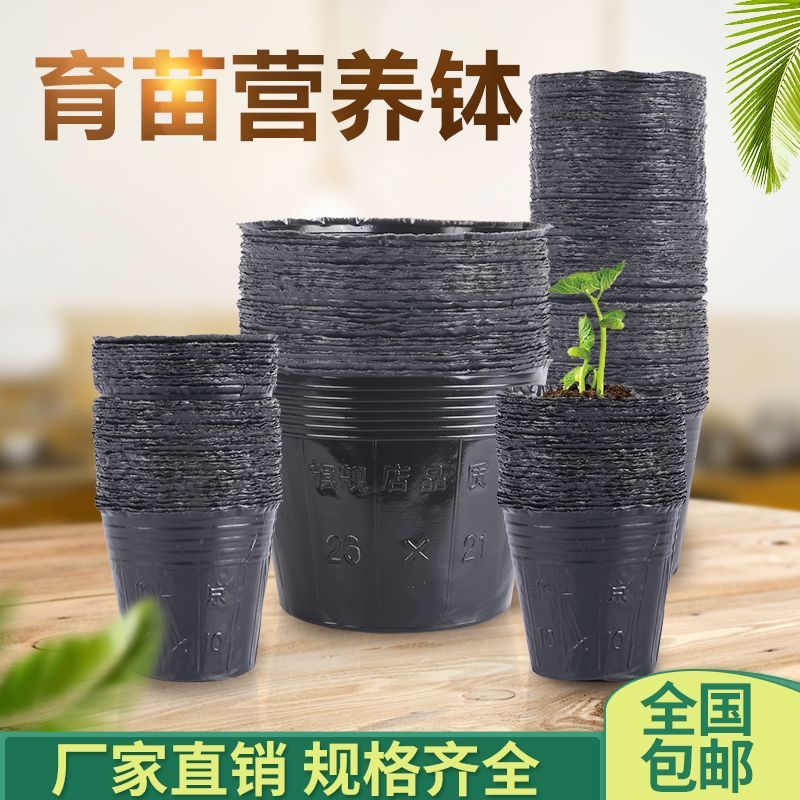 营养杯育苗杯一次性黑色营养袋育苗袋大号播种植塑料育苗盆营养钵