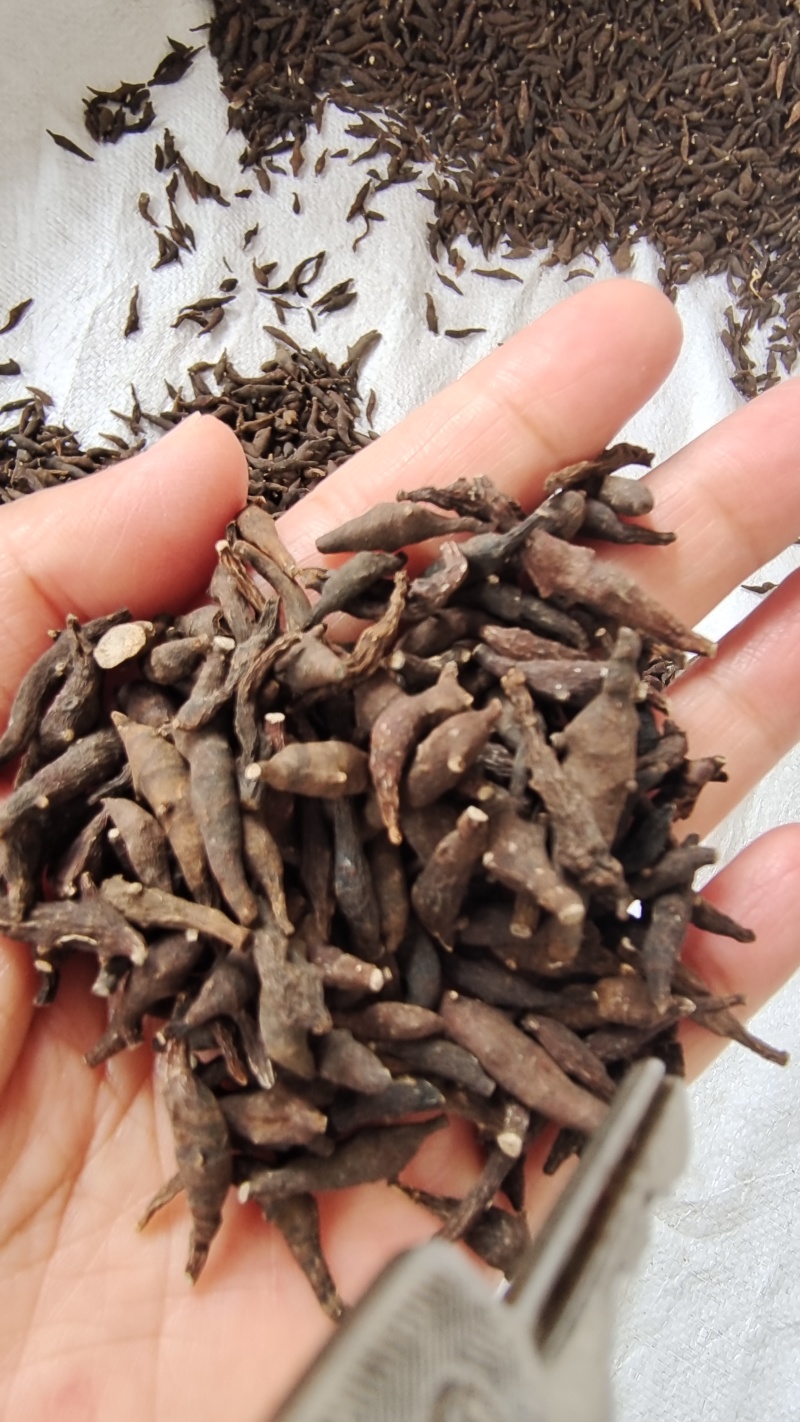 两头尖中药材干货2斤起包邮量大优惠