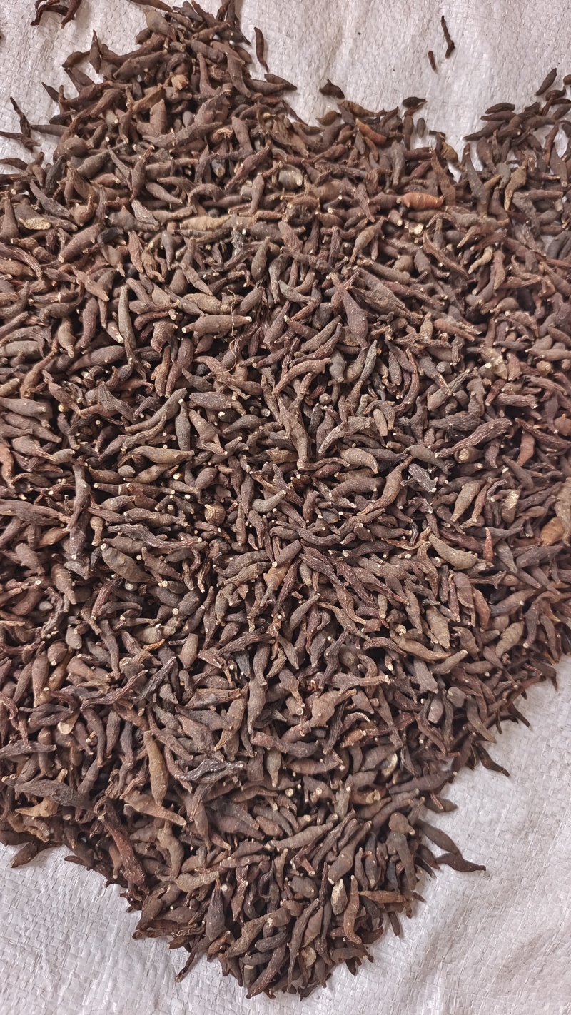两头尖净货2斤起包邮量大优惠