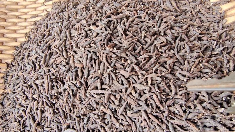 两头尖净货2斤起包邮量大优惠