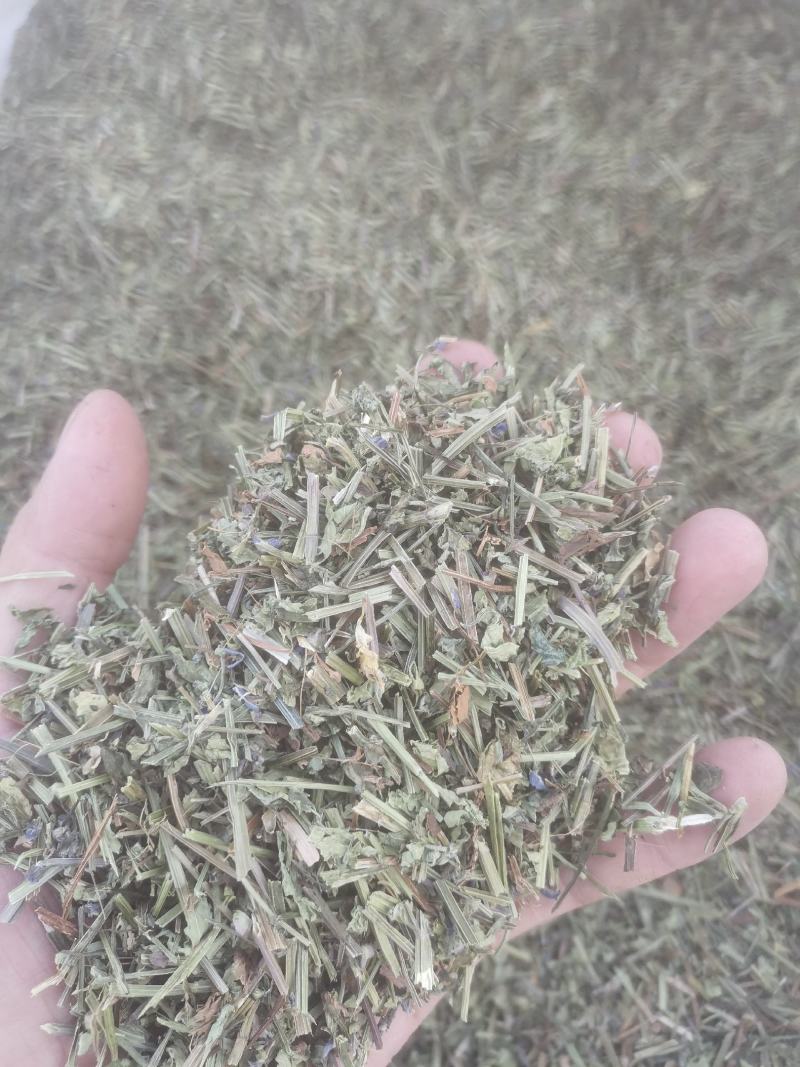 头茬半枝莲