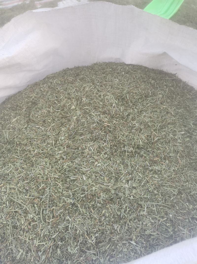 头茬半枝莲